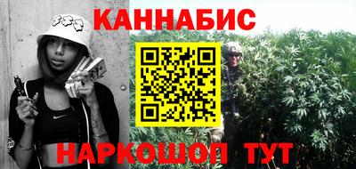 молекула духа Будённовск