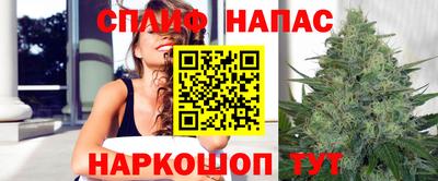 молекула духа Будённовск