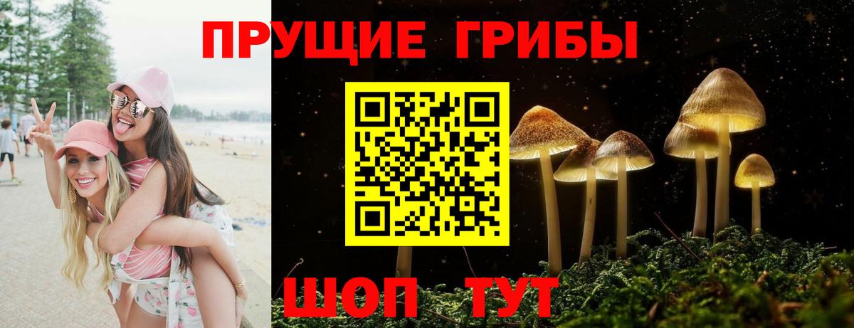 Псилоцибиновые грибы GOLDEN TEACHER  купить   Нижневартовск  Вход с VPN 